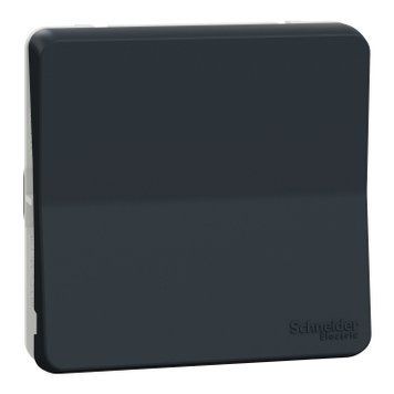 Вставка переключателя 1-клавишного Mureva Styl, IP55, Черный, Schneider Electric MUR37021 MUR37021 фото