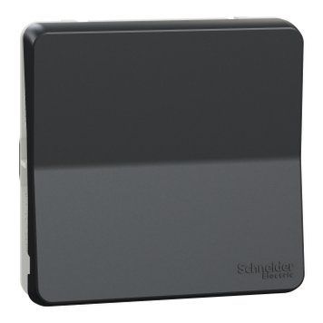 Вставка кнопкового вимикача 1-клавішного Mureva Styl, IP55, Чорний, Schneider Electric MUR35027 MUR35027 фото