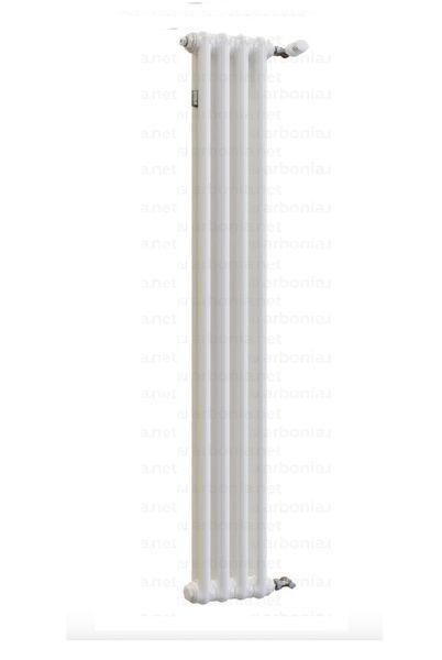 Радиатор вертикальный с боковым подключением Arbonia 2150/04 (Белый) Arbonia  2150-4  RAL9016 фото
